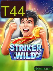 A Jornada Empolgante de StrikerWILD: Mergulhe no Mundo de T44